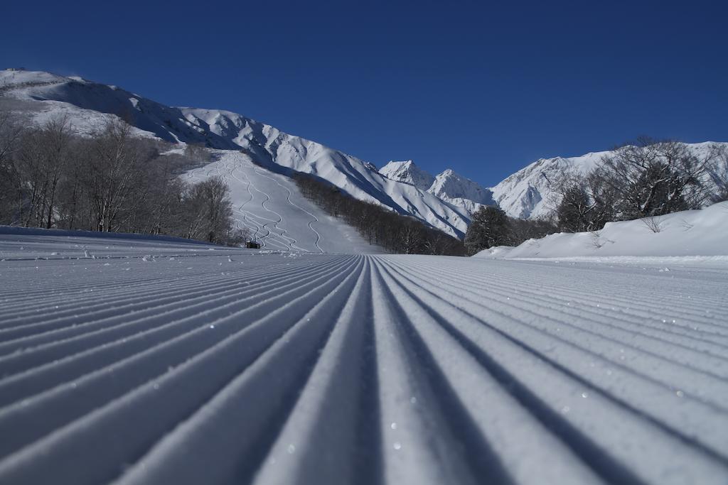 Hotel Oak Forest Hakuba Buitenkant foto